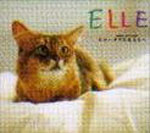 ELLE～ボクに会える～